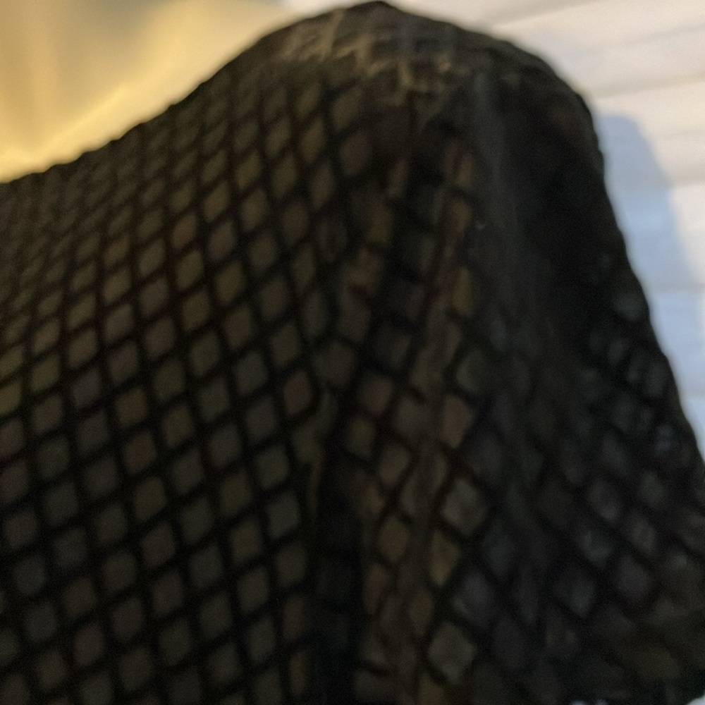 Adrianna Papell XL Burn Out Black Velvet Sheer Ruffle Hem Whimsigoth Blouse Top - Picture 9 of 10